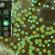 Image: Screencap via Zelda Maps